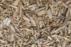 biomass boilers Whitelee